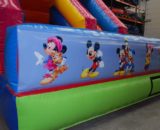 Tobogan Disney 3X3 (5) Castillos Hinchables Valencia